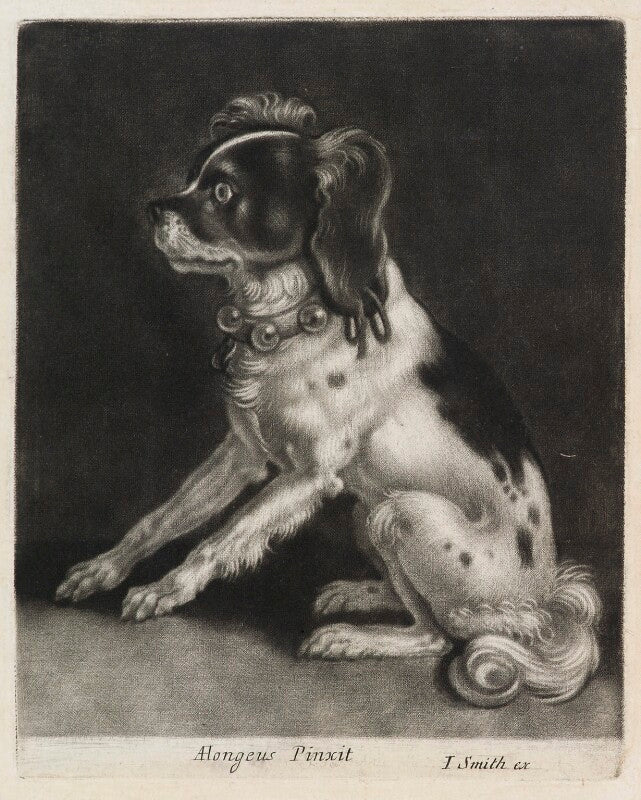 Dog sitting npg d11884