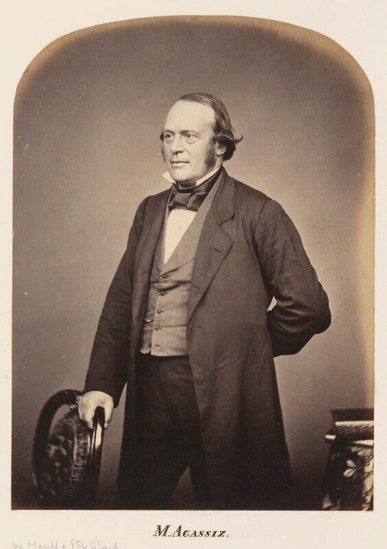 (jean) louis rodolphe agassiz npg ax7300