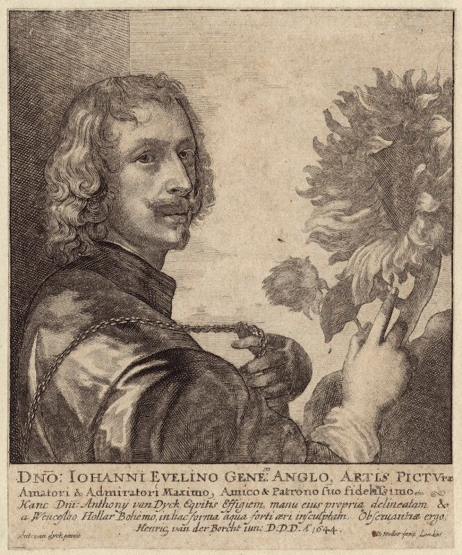 Sir anthony van dyck npg d30353