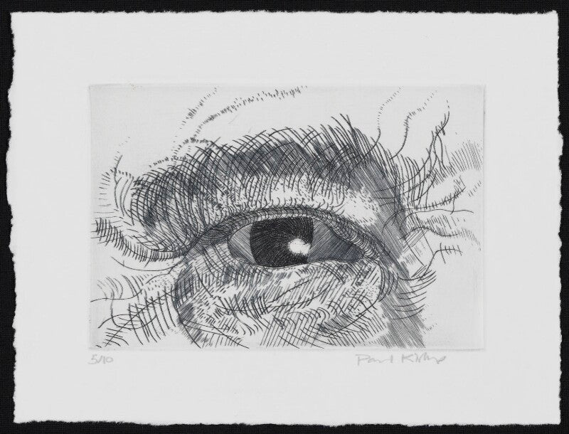 Engraving of an eye npg d49609