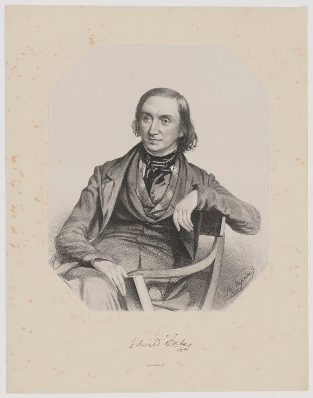 Edward forbes npg d37721