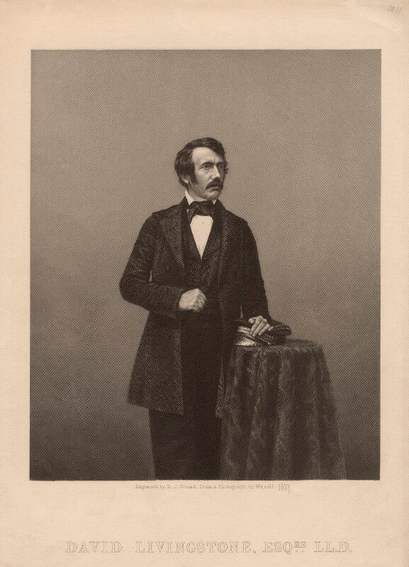 David livingstone npg d6853