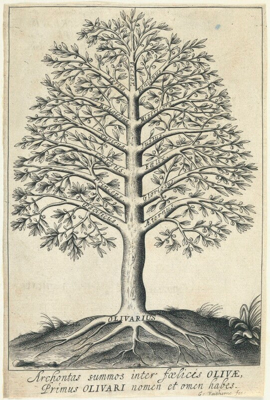 'olivarius' (oliver cromwell) npg d22995