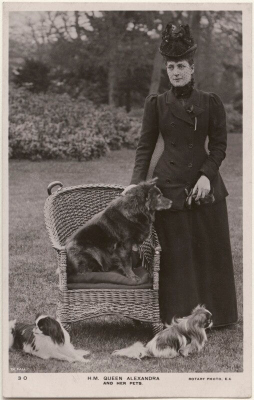 'h.m. queen alexandra and her pets' (queen alexandra) npg x196862