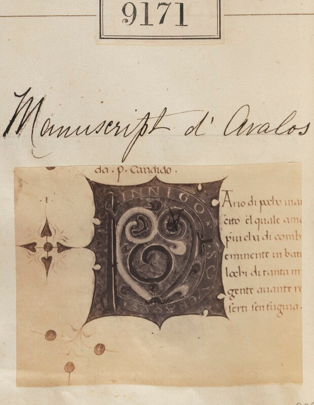 'detail from manuscript d'avalos' npg ax58993