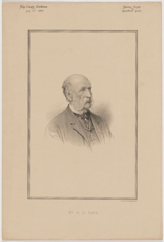 A.j. lane npg d46183