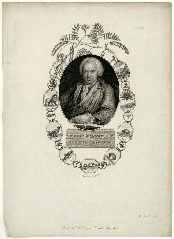 Charles bonnet npg d31977