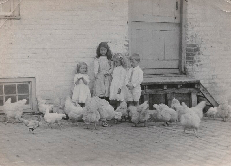 Thomas david freeman mitford; diana mitford (later lady mosley); nancy mitford; pamela jackson (née freeman mitford) npg x27956
