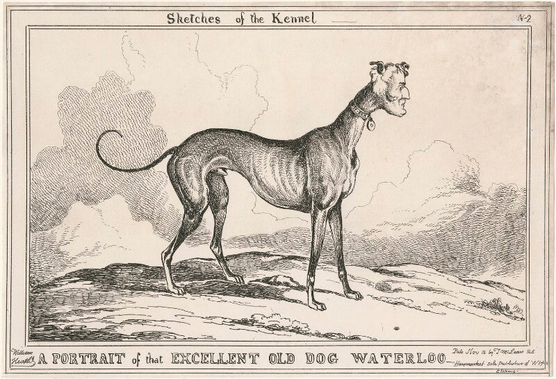 Arthur wellesley, 1st duke of wellington ('sketches of the kennel n 2: a portrait of that excellent old dog waterloo') npg d48792