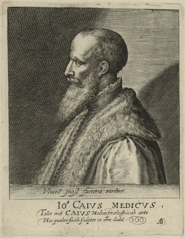 John caius npg d24976