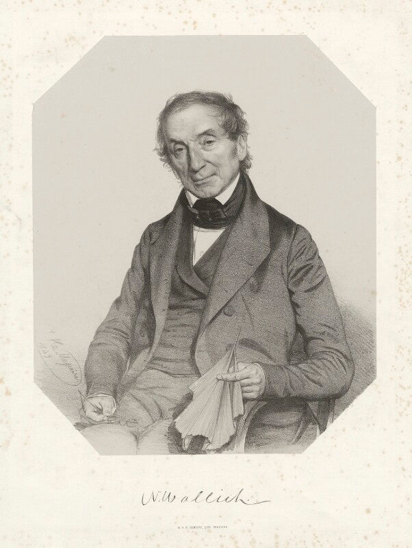 Nathaniel wallich npg d38016