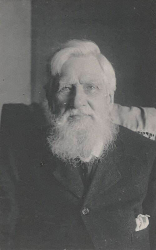 Alfred russel wallace npg x5116