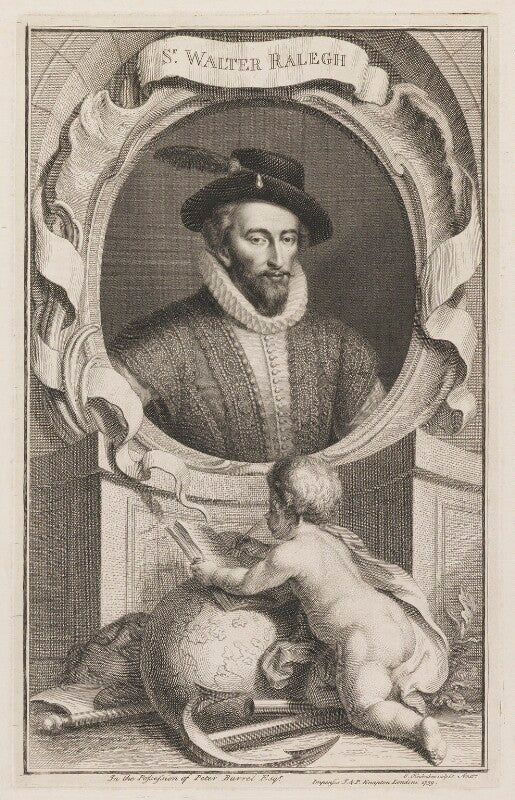 Sir walter ralegh (raleigh) npg d39189