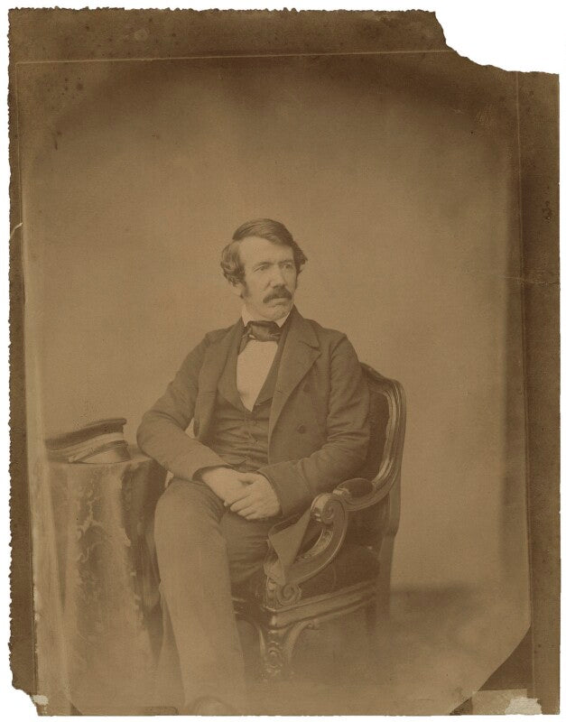 David livingstone npg x16183