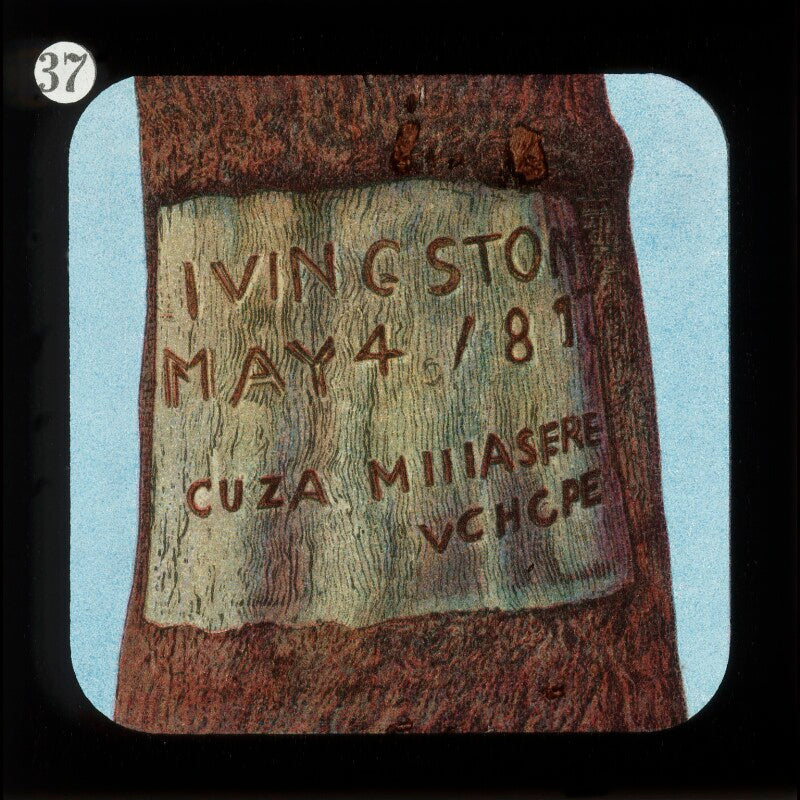 Inscription on tree (relates to david livingstone) npg d18410