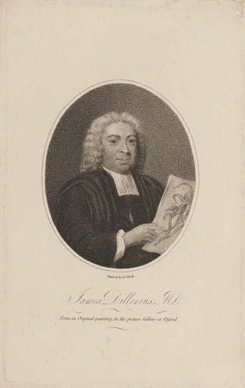 John james dillenius npg d8547