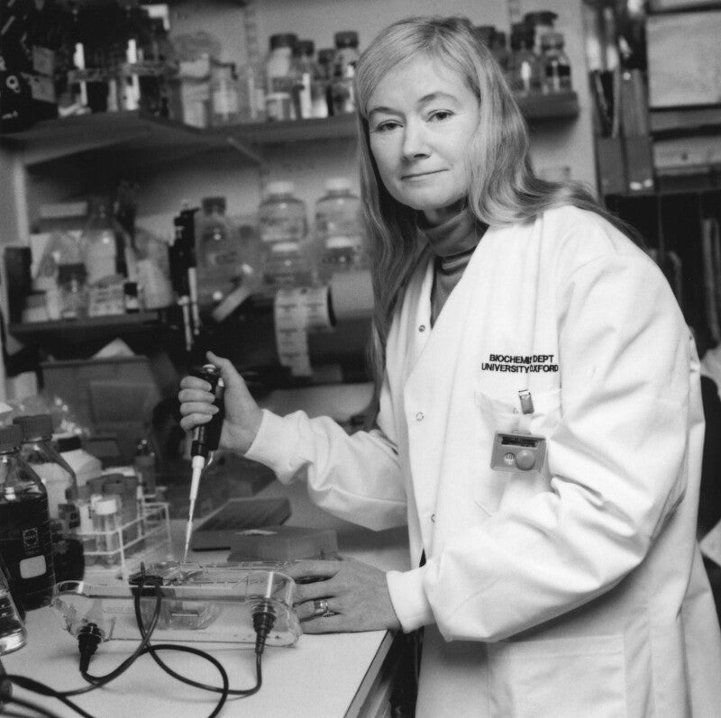 Dame kay davies npg x87853