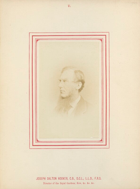 Sir joseph dalton hooker npg ax14784