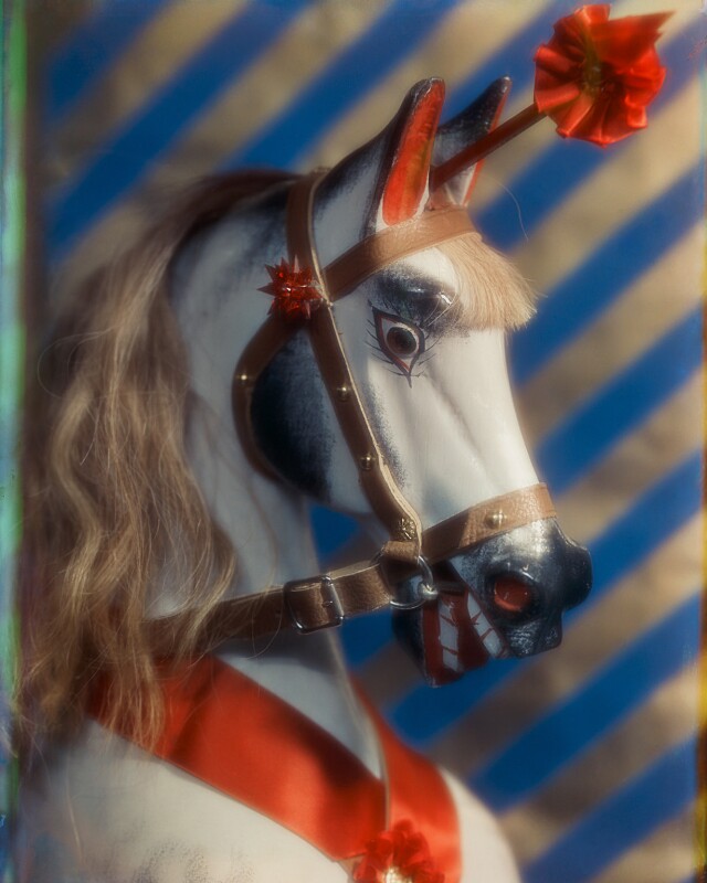 Rocking horse npg x221998