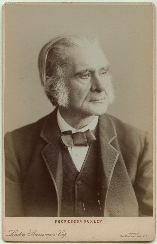 Thomas henry huxley npg x36198