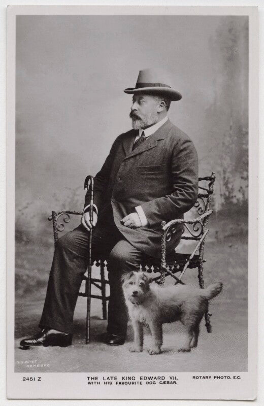 King edward vii npg x39946