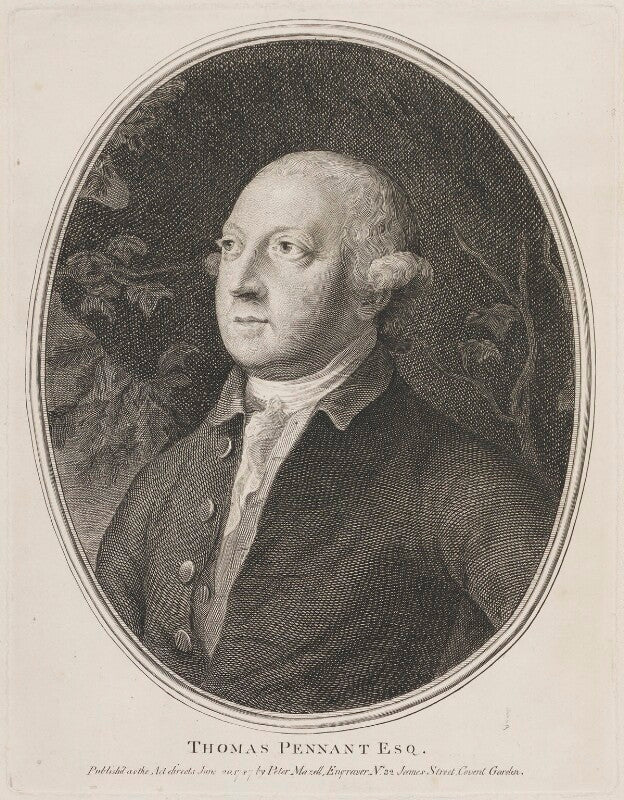 Thomas pennant npg d14536