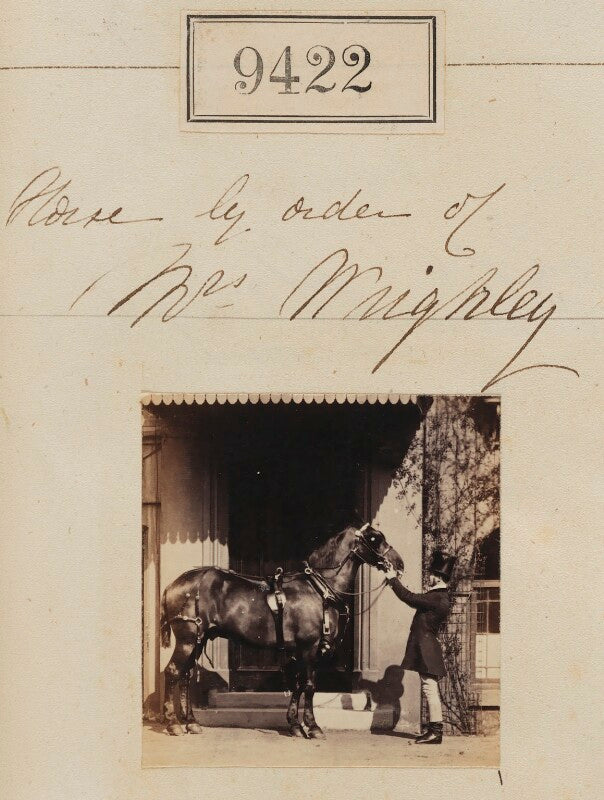 'horse by order of mrs wrighley' npg ax59228