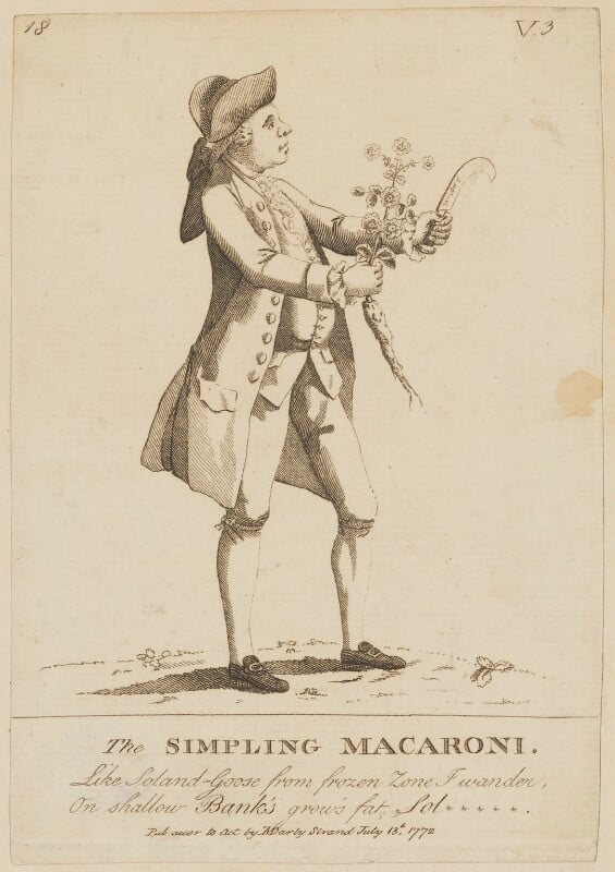 Daniel solander ('the simpling macaroni') npg d6806