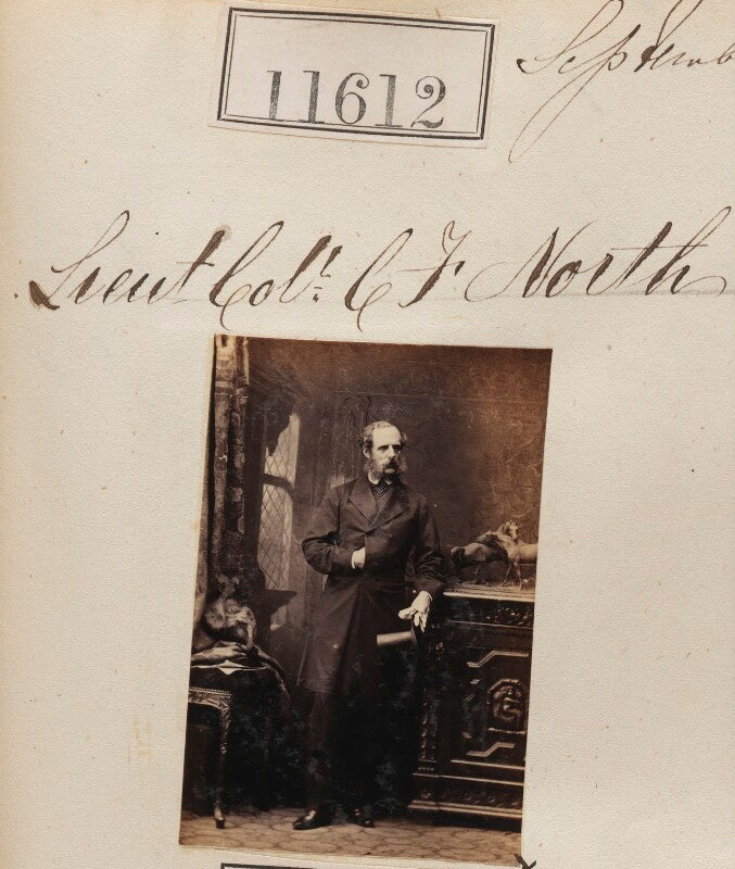 C.f. north npg ax61295