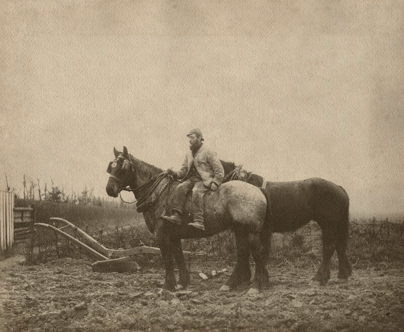 Unknown man npg ax45734