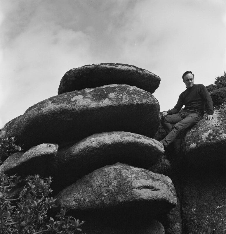 Patrick heron npg x199984