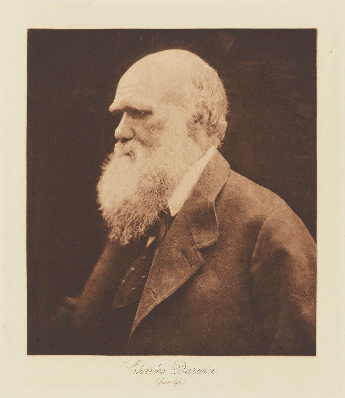 Charles darwin npg ax29139