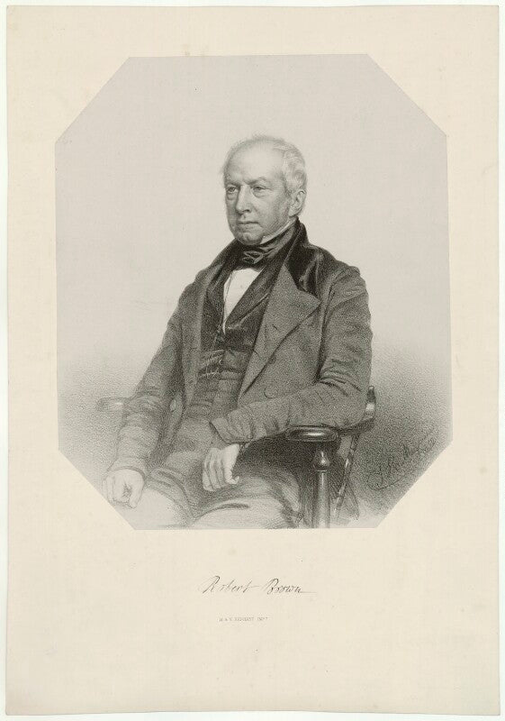 Robert brown npg d32222