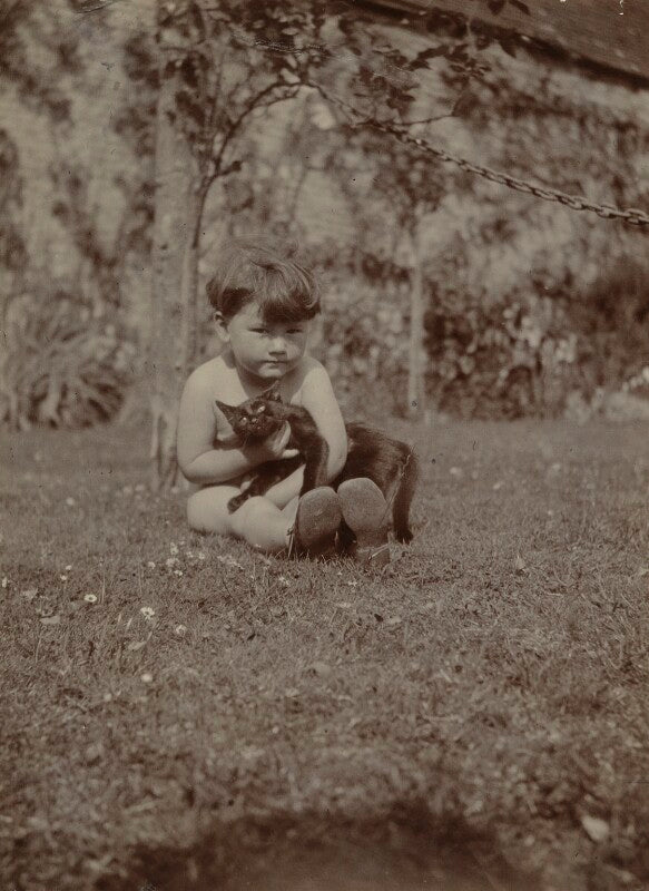 Barbara strachey with cat npg ax160829