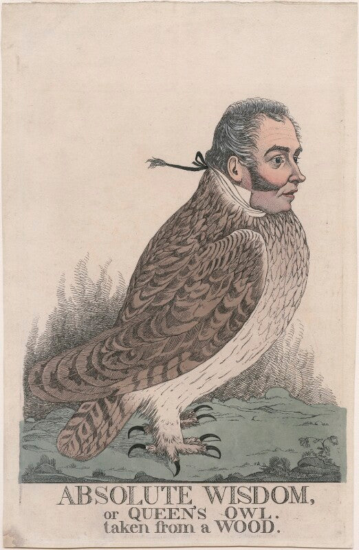 'absolute wisdom, or queen's owl. taken from a wood' (sir matthew wood, 1st bt) npg d4902