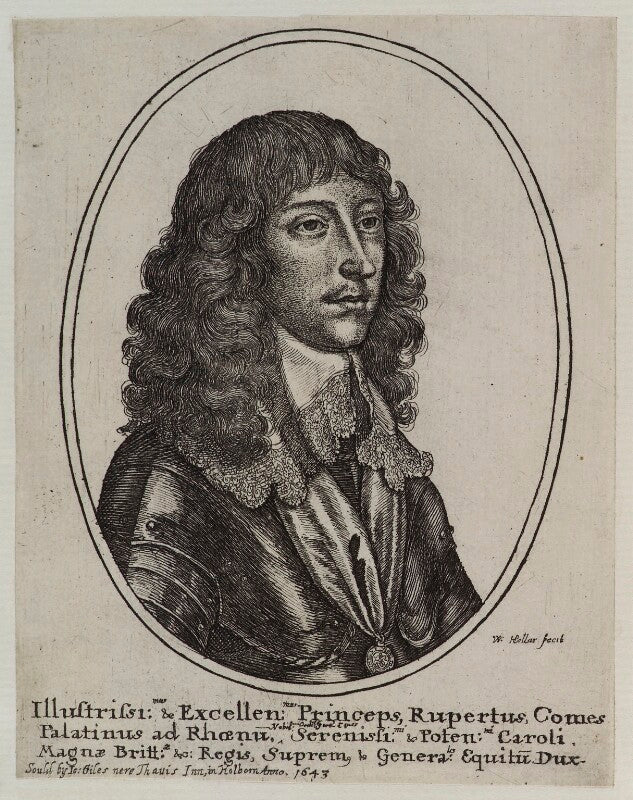 Prince rupert, count palatine npg d20069