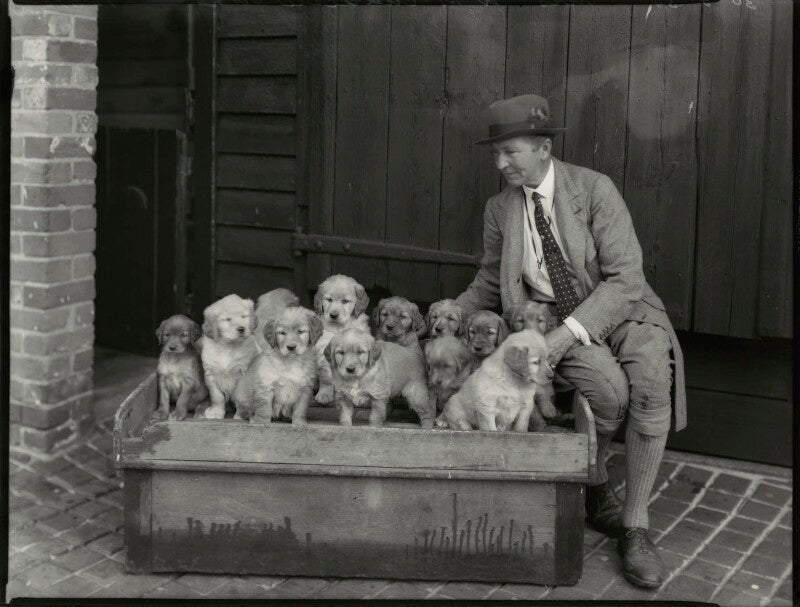 Winifred charlesworth npg x151126