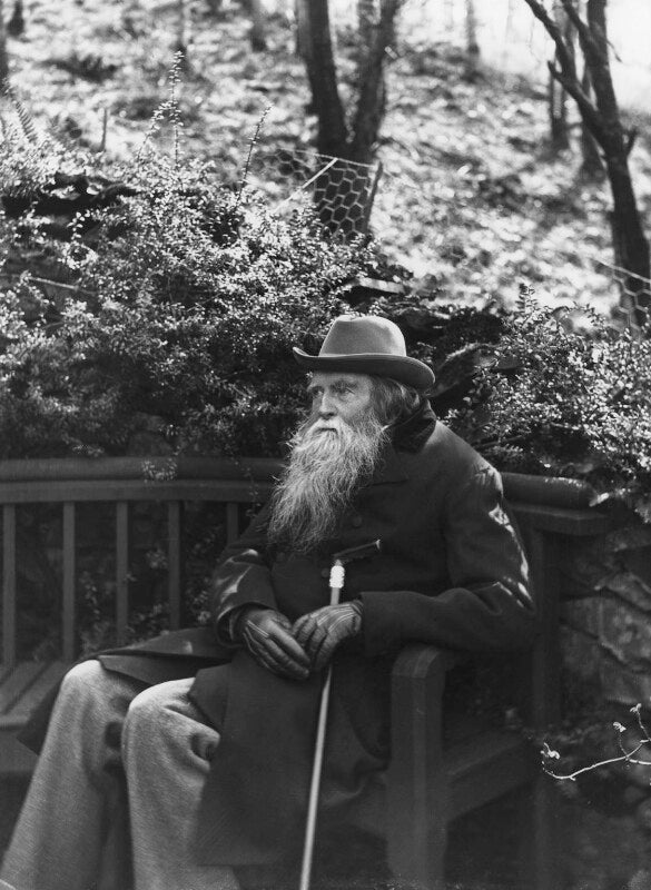 John ruskin npg x12176