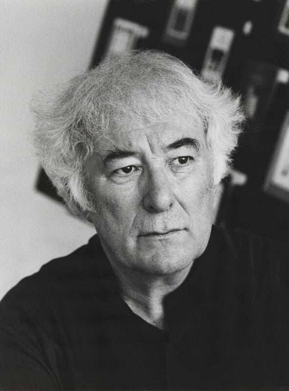 Seamus heaney npg x88253