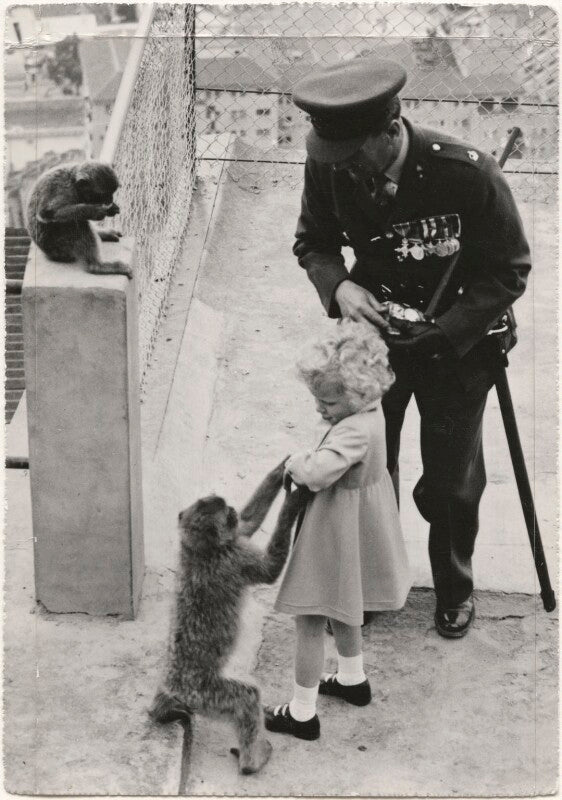 Princess anne npg x183995