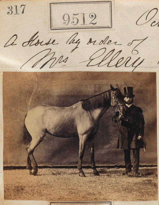 A horse by order of mrs ellery npg ax59320