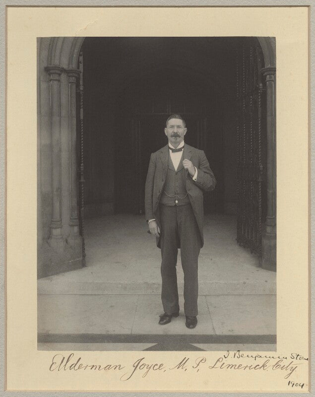 Michael joyce npg x29031