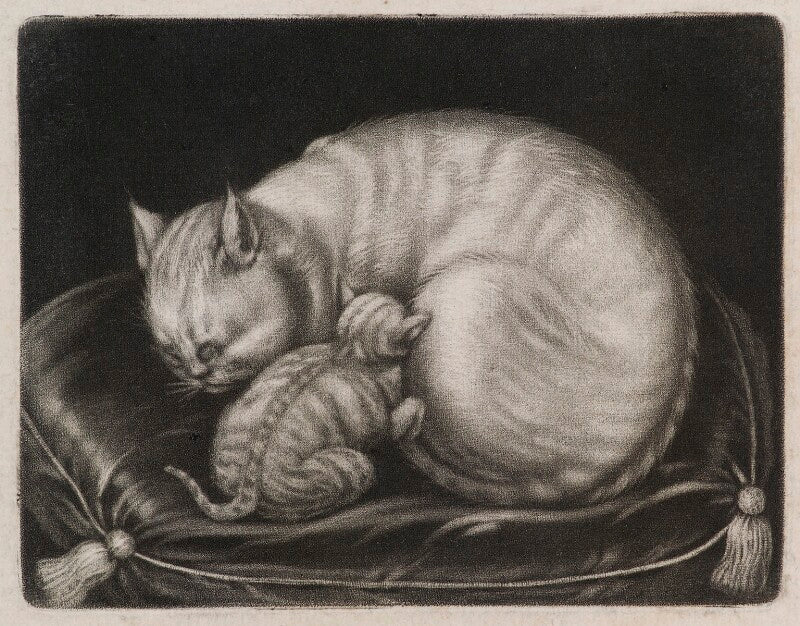 Cat and kitten npg d11799