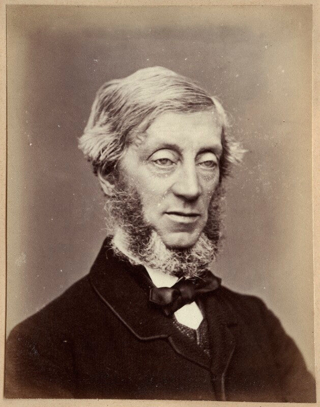 William reginald courtenay, 11th earl of devon npg ax21854