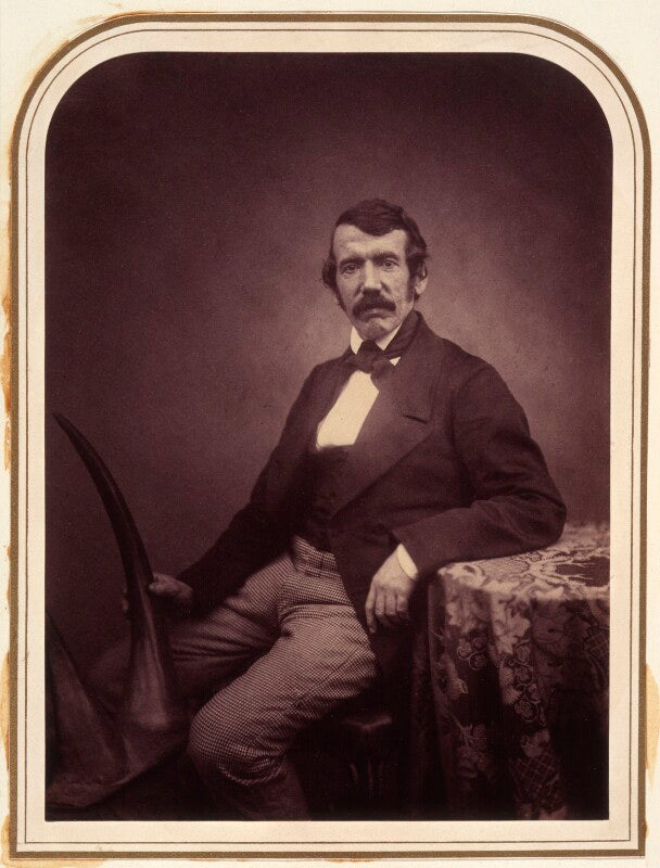 David livingstone npg x7279