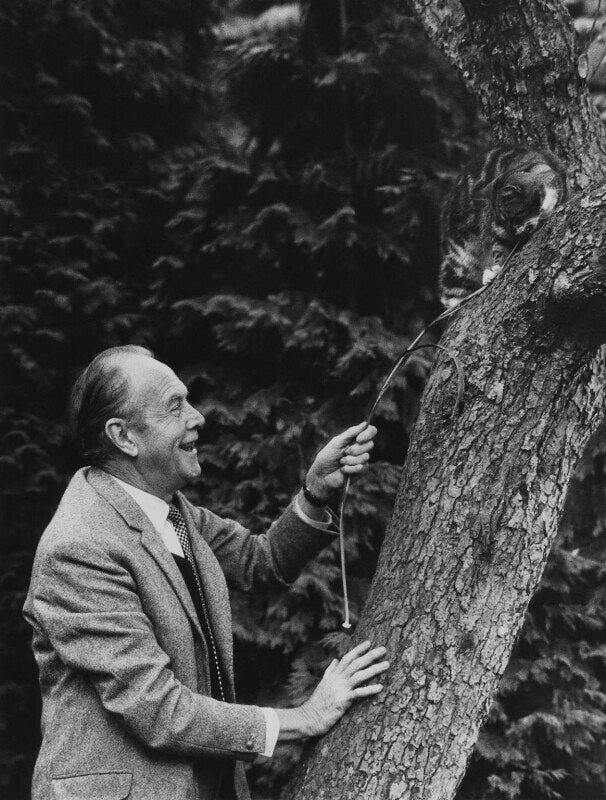 Beverley nichols npg x165957