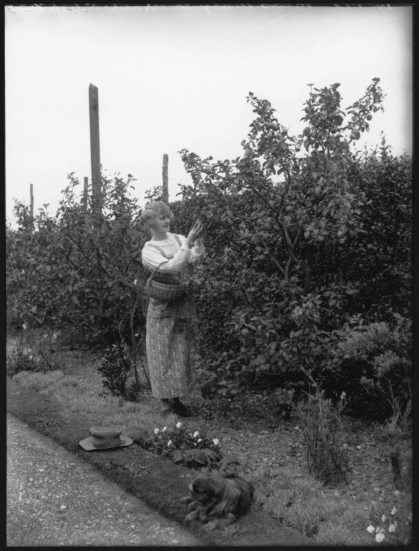 Mary merrall npg x33103