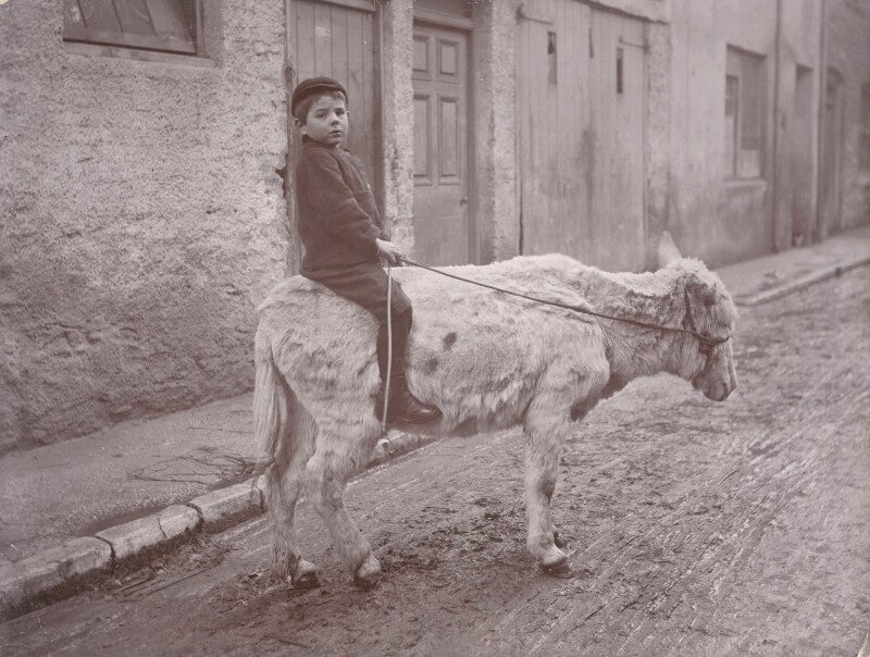 'rough rider' (unknown boy) npg x198812