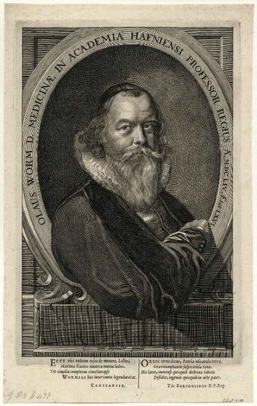Ole worm (olaus wormius) npg d28643