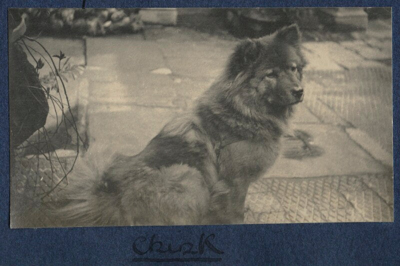 'chisk' npg ax141704